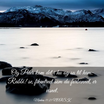 Picture 03 - Markus 11:21 NORSK - Og Peter kom det i hu og sa til ham: Rabbi! se, - Bible Verse Picture