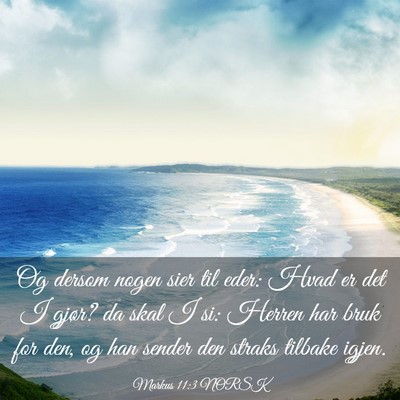Picture 03 - Markus 11:3 NORSK - Og dersom nogen sier til eder: Hvad er det I - Bible Verse Picture
