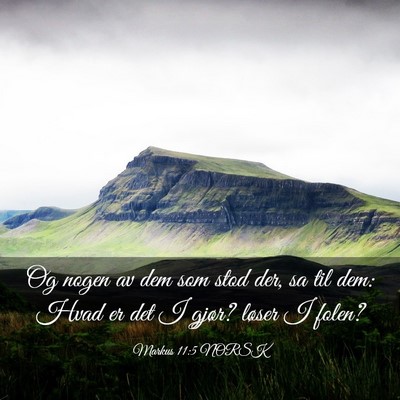 Picture 03 - Markus 11:5 NORSK - Og nogen av dem som stod der, sa til dem: Hvad er - Bible Verse Picture