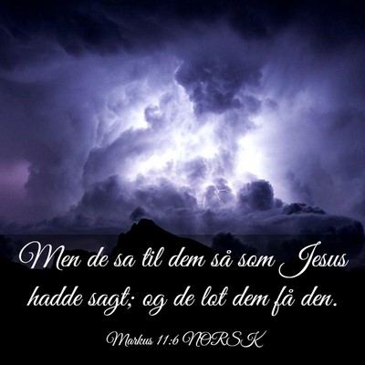 Picture 03 - Markus 11:6 NORSK - Men de sa til dem så som Jesus hadde sagt; og de - Bible Verse Picture