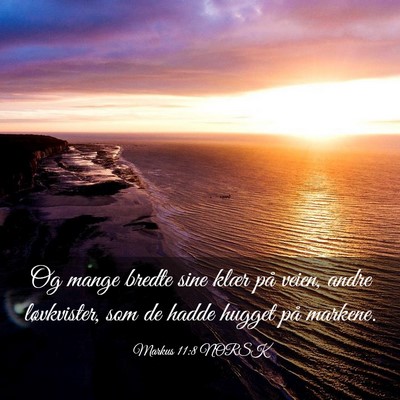 Picture 03 - Markus 11:8 NORSK - Og mange bredte sine klær på veien, andre - Bible Verse Picture