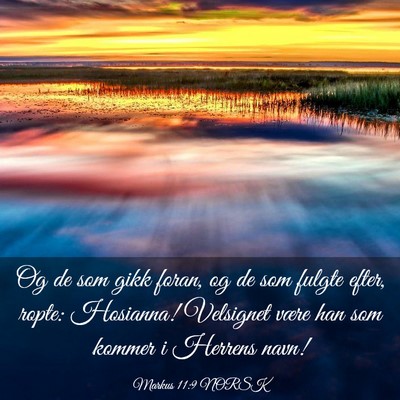 Picture 03 - Markus 11:9 NORSK - Og de som gikk foran, og de som fulgte efter, - Bible Verse Picture