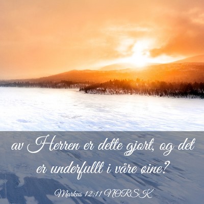 Picture 03 - Markus 12:11 NORSK - av Herren er dette gjort, og det er underfullt i - Bible Verse Picture