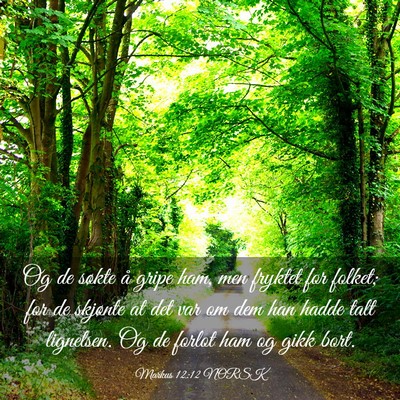 Picture 03 - Markus 12:12 NORSK - Og de søkte å gripe ham, men fryktet for - Bible Verse Picture