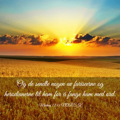 Picture 03 - Markus 12:13 NORSK - Og de sendte nogen av fariseerne og herodianerne - Bible Verse Picture