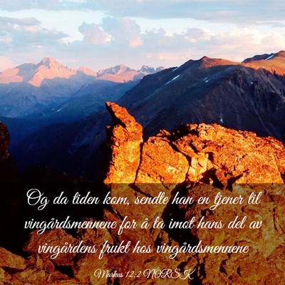 Picture 03 - Markus 12:2 NORSK - Og da tiden kom, sendte han en tjener til - Bible Verse Picture