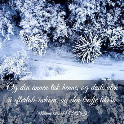 Picture 03 - Markus 12:21 NORSK - Og den annen tok henne, og døde uten å - Bible Verse Picture