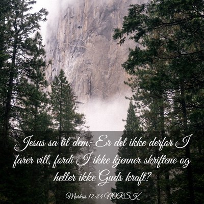 Picture 03 - Markus 12:24 NORSK - Jesus sa til dem: Er det ikke derfor I farer - Bible Verse Picture
