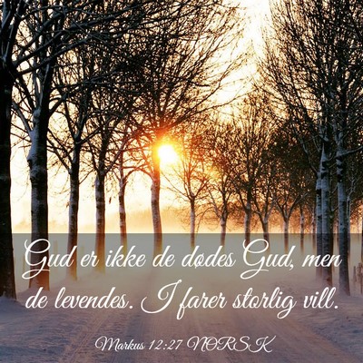 Picture 03 - Markus 12:27 NORSK - Gud er ikke de dødes Gud, men de levendes. I - Bible Verse Picture