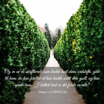 Picture 03 - Markus 12:28 NORSK - Og en av de skriftlærde, som hadde hørt deres - Bible Verse Picture