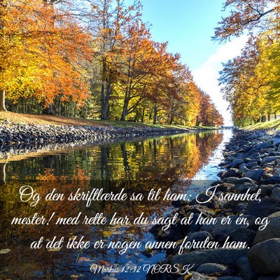 Picture 03 - Markus 12:32 NORSK - Og den skriftlærde sa til ham: I sannhet, - Bible Verse Picture