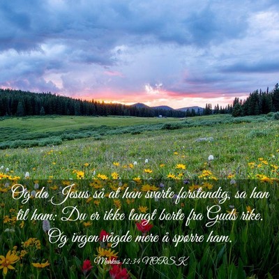 Picture 03 - Markus 12:34 NORSK - Og da Jesus så at han svarte forstandig, sa han - Bible Verse Picture