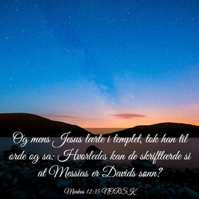 Picture 03 - Markus 12:35 NORSK - Og mens Jesus lærte i templet, tok han til orde - Bible Verse Picture