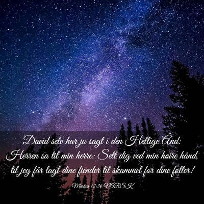 Picture 03 - Markus 12:36 NORSK - David selv har jo sagt i den Hellige Ånd: Herren - Bible Verse Picture