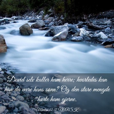 Picture 03 - Markus 12:37 NORSK - David selv kaller ham herre; hvorledes kan han da - Bible Verse Picture