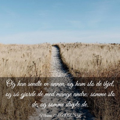Picture 03 - Markus 12:5 NORSK - Og han sendte en annen, og ham slo de ihjel, og - Bible Verse Picture