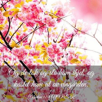 Picture 03 - Markus 12:8 NORSK - Og de tok og slo ham ihjel, og kastet ham ut av - Bible Verse Picture