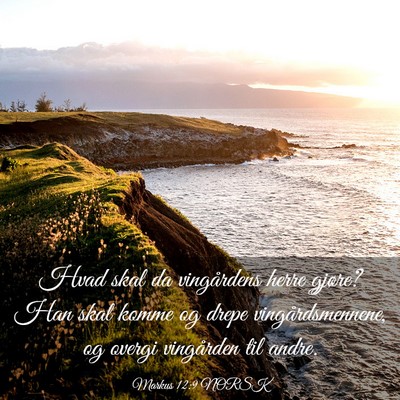 Picture 03 - Markus 12:9 NORSK - Hvad skal da vingårdens herre gjøre? Han skal - Bible Verse Picture