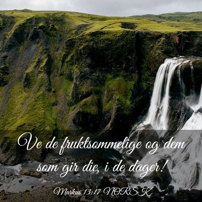 Picture 03 - Markus 13:17 NORSK - Ve de fruktsommelige og dem som gir die, i de - Bible Verse Picture