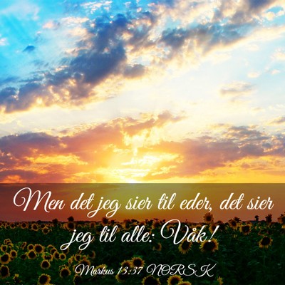 Picture 03 - Markus 13:37 NORSK - Men det jeg sier til eder, det sier jeg til alle: - Bible Verse Picture