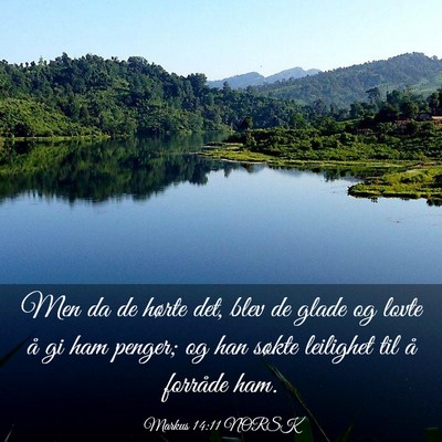Picture 03 - Markus 14:11 NORSK - Men da de hørte det, blev de glade og lovte å - Bible Verse Picture
