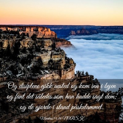 Picture 03 - Markus 14:16 NORSK - Og disiplene gikk avsted og kom inn i byen og - Bible Verse Picture