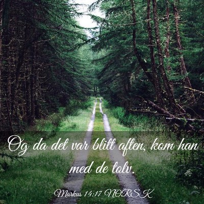 Picture 03 - Markus 14:17 NORSK - Og da det var blitt aften, kom han med de - Bible Verse Picture