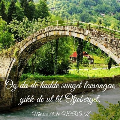 Picture 03 - Markus 14:26 NORSK - Og da de hadde sunget lovsangen, gikk de ut til - Bible Verse Picture