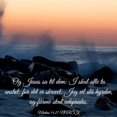 Picture 03 - Markus 14:27 NORSK - Og Jesus sa til dem: I skal alle ta anstøt; for - Bible Verse Picture