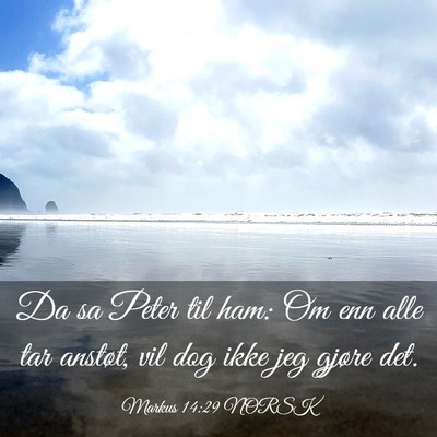Picture 03 - Markus 14:29 NORSK - Da sa Peter til ham: Om enn alle tar anstøt, vil - Bible Verse Picture
