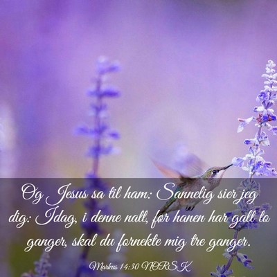 Picture 03 - Markus 14:30 NORSK - Og Jesus sa til ham: Sannelig sier jeg dig: Idag, - Bible Verse Picture