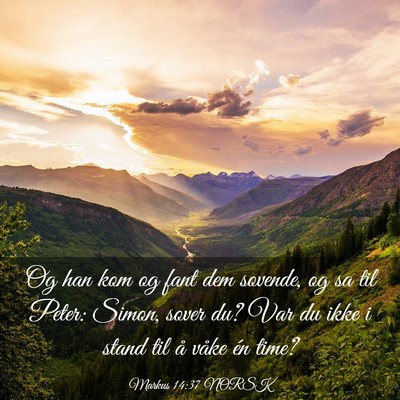 Picture 03 - Markus 14:37 NORSK - Og han kom og fant dem sovende, og sa til Peter: - Bible Verse Picture