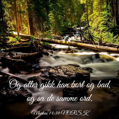 Picture 03 - Markus 14:39 NORSK - Og atter gikk han bort og bad, og sa de samme - Bible Verse Picture