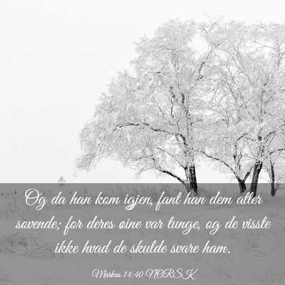 Picture 03 - Markus 14:40 NORSK - Og da han kom igjen, fant han dem atter sovende; - Bible Verse Picture