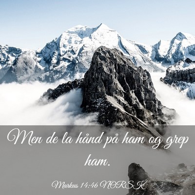 Picture 03 - Markus 14:46 NORSK - Men de la hånd på ham og grep - Bible Verse Picture
