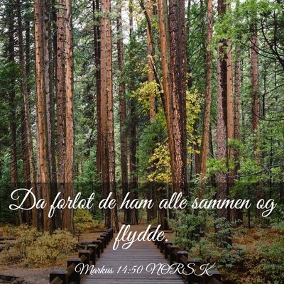 Picture 03 - Markus 14:50 NORSK - Da forlot de ham alle sammen og - Bible Verse Picture