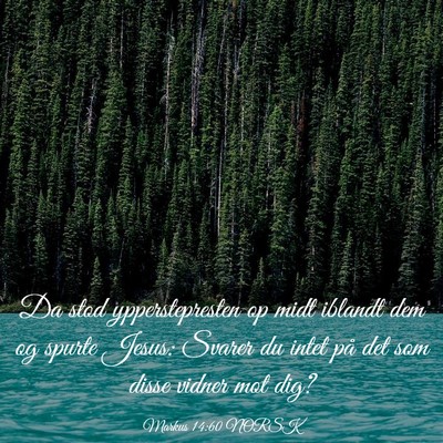 Picture 03 - Markus 14:60 NORSK - Da stod ypperstepresten op midt iblandt dem og - Bible Verse Picture