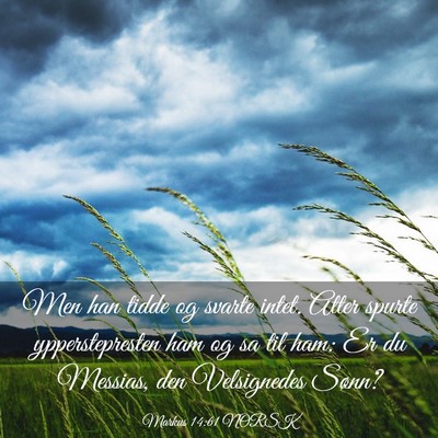 Picture 03 - Markus 14:61 NORSK - Men han tidde og svarte intet. Atter spurte - Bible Verse Picture