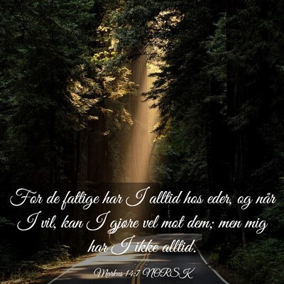 Picture 03 - Markus 14:7 NORSK - For de fattige har I alltid hos eder, og når I - Bible Verse Picture