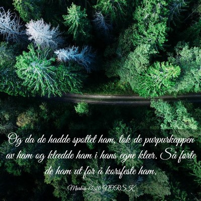 Picture 03 - Markus 15:20 NORSK - Og da de hadde spottet ham, tok de purpurkappen - Bible Verse Picture
