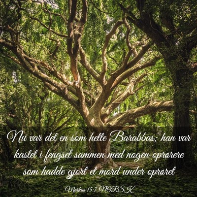 Picture 03 - Markus 15:7 NORSK - Nu var det en som hette Barabbas; han var kastet - Bible Verse Picture