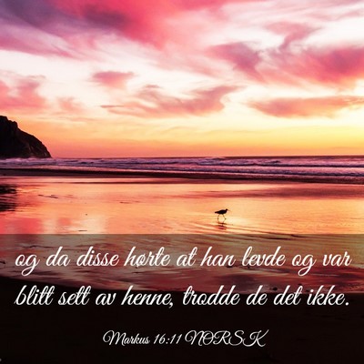 Picture 03 - Markus 16:11 NORSK - og da disse hørte at han levde og var blitt sett - Bible Verse Picture