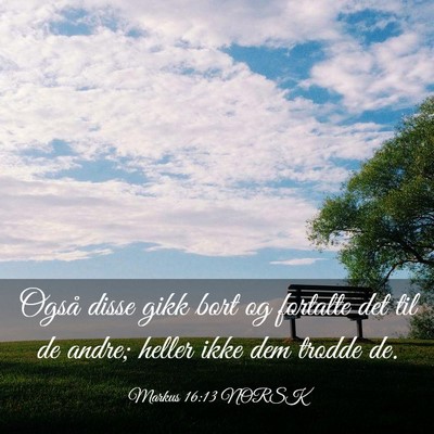 Picture 03 - Markus 16:13 NORSK - Også disse gikk bort og fortalte det til de - Bible Verse Picture