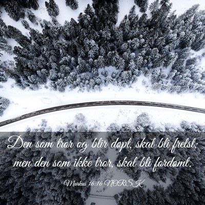 Picture 03 - Markus 16:16 NORSK - Den som tror og blir døpt, skal bli frelst; men - Bible Verse Picture