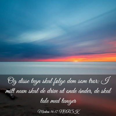Picture 03 - Markus 16:17 NORSK - Og disse tegn skal følge dem som tror: I mitt - Bible Verse Picture