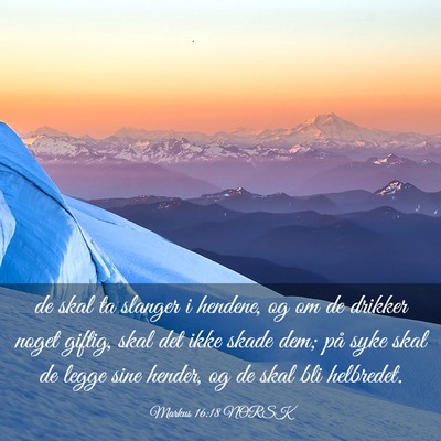 Picture 03 - Markus 16:18 NORSK - de skal ta slanger i hendene, og om de drikker - Bible Verse Picture