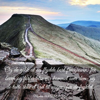 Picture 03 - Markus 16:8 NORSK - Og de gikk ut og flydde bort fra graven; for - Bible Verse Picture