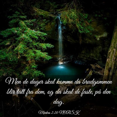 Picture 03 - Markus 2:20 NORSK - Men de dager skal komme da brudgommen blir tatt - Bible Verse Picture