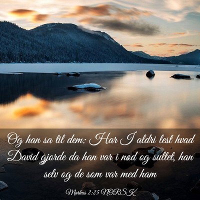 Picture 03 - Markus 2:25 NORSK - Og han sa til dem: Har I aldri lest hvad David - Bible Verse Picture