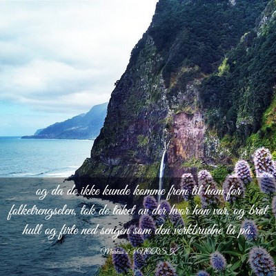Picture 03 - Markus 2:4 NORSK - og da de ikke kunde komme frem til ham for - Bible Verse Picture